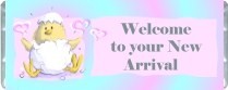 New Arrival