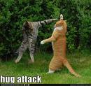 Hug Attack