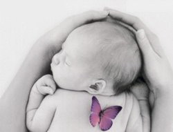 baby & butterfy
