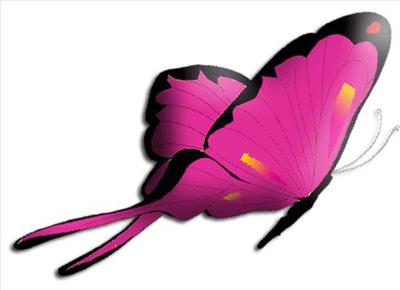 pembe kelebek