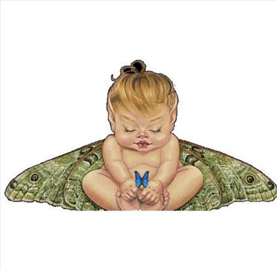 baby butterfly