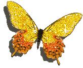 kelebek