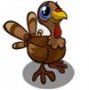 BabyTurkey