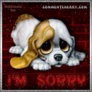 Sorry