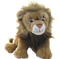 Cuddly lion