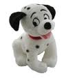 Cuddly Dog
