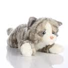 Cuddly Kitten