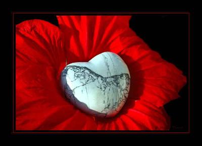 Sie liebt dich