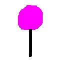 A lollypop!