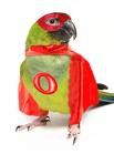 Super Birdy