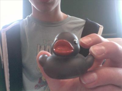 rubber duck