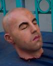 severed head