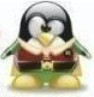 a penguin robin