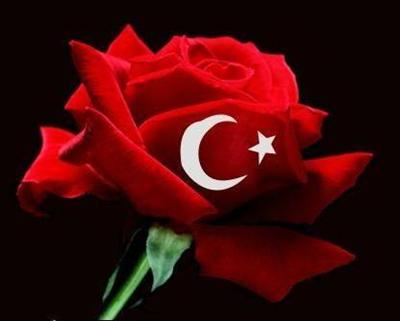 BARIŞ VE HUZUR