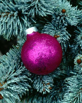 Buon Natale