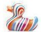 dream duck