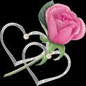 ROse pour ta chery