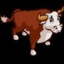 Bull (rodeo)