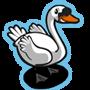 Swan