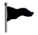 Black Flag