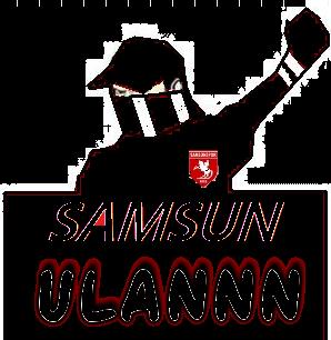 Şanssız