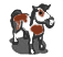 Pinto Horse