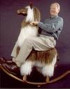 Ride A Llama