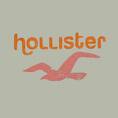 Hollister Shopping Spree