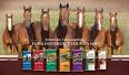 A Year's Supply of Purina Horse Feed