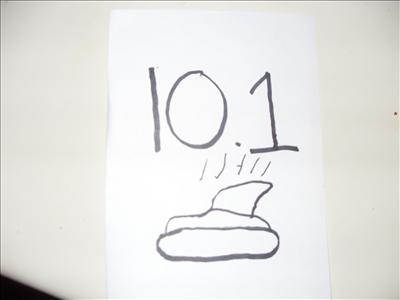 10.1