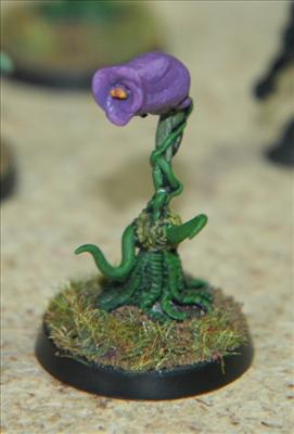 Ikkle Triffid