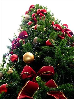christmas tree 4