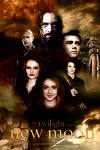 new moon:vultury