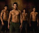 new moon:wolf pack