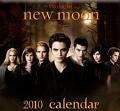 new moon:cullen family