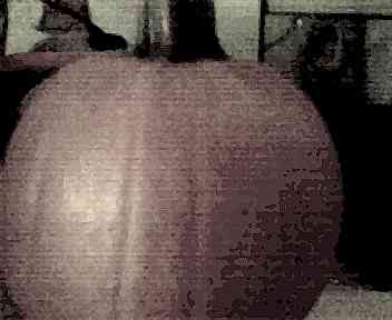 pumpkin