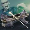 VOLDEMORT's wand