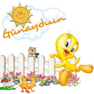 GÜNAYDIN..:)))