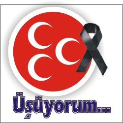 üşüyorum avatarı
