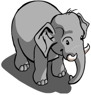 Baby Elephant