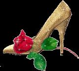 Golden slippers