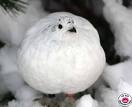 Boule de neige \"soft\"