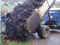 Truckload of Crap