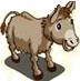 Donkey