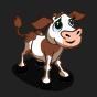 White Calf