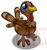 Baby Turkey