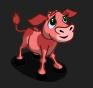 Pink Calf