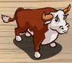 Bull