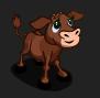  Brown Calf