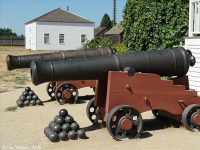 Cannon